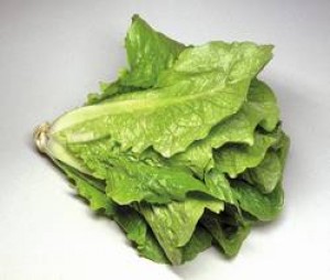 salat1.jpg
